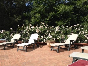 il solarium